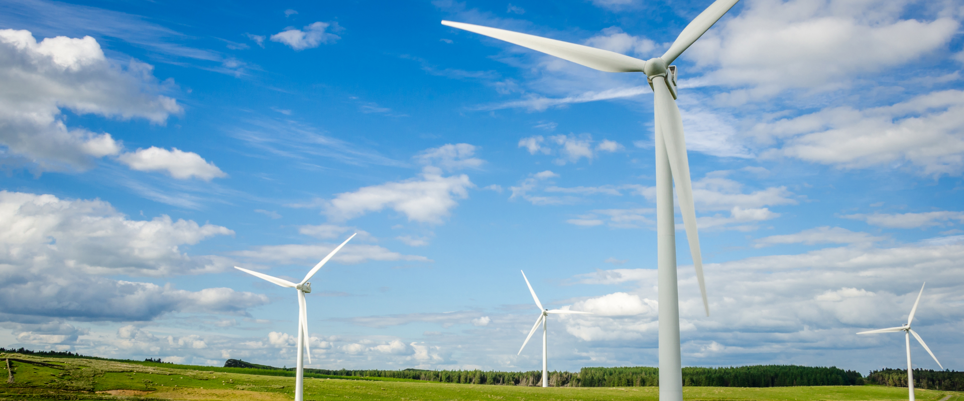 Wind Farm